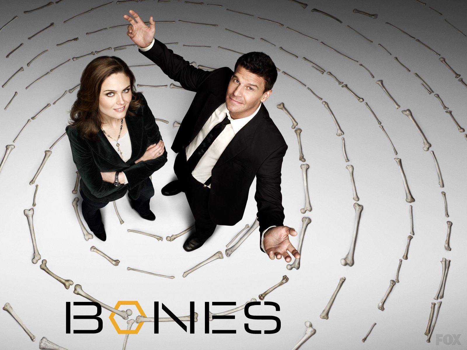 Final Season of 'Bones' Delayed Until Early 2017