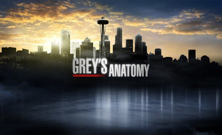 Martin Henderson Cast As New ‘Grey’s Anatomy’ Regular
