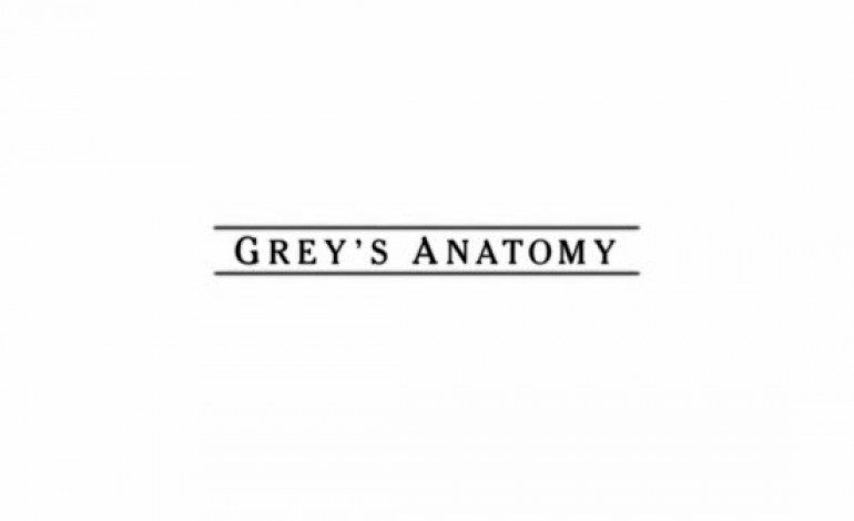 “Grey’s Anatomy” Set to be ABC’s Top Rated Show