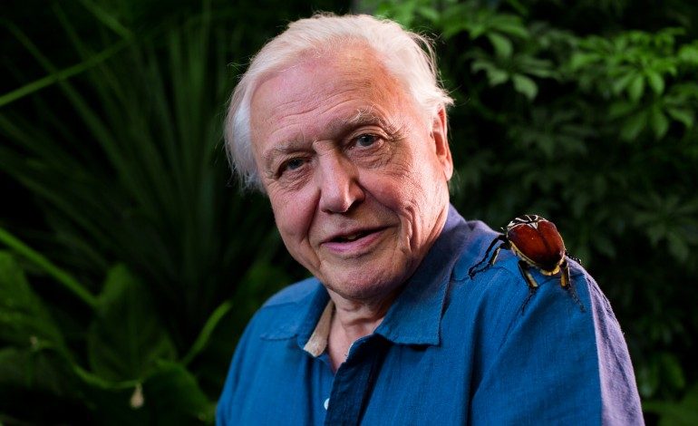 Smithsonian To Premiere 7 Weeks of Sir David Attenborough Specials