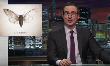 John Oliver 'Cicada' Segment Surges to 1M Viewers in 12 Hours