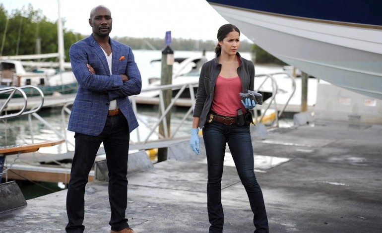 ‘Rosewood’ Canceled by Fox after Two Seasons