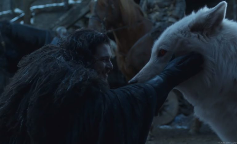 ‘Game of Thrones’ Director Sapochnik on Direwolves and Dragons