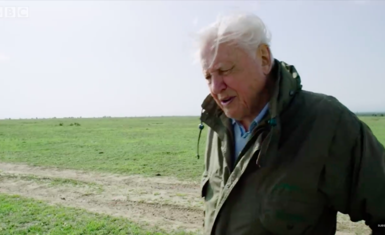 David Attenborough and BBC One Announces New Nature Docuseries ‘The Green Planet’