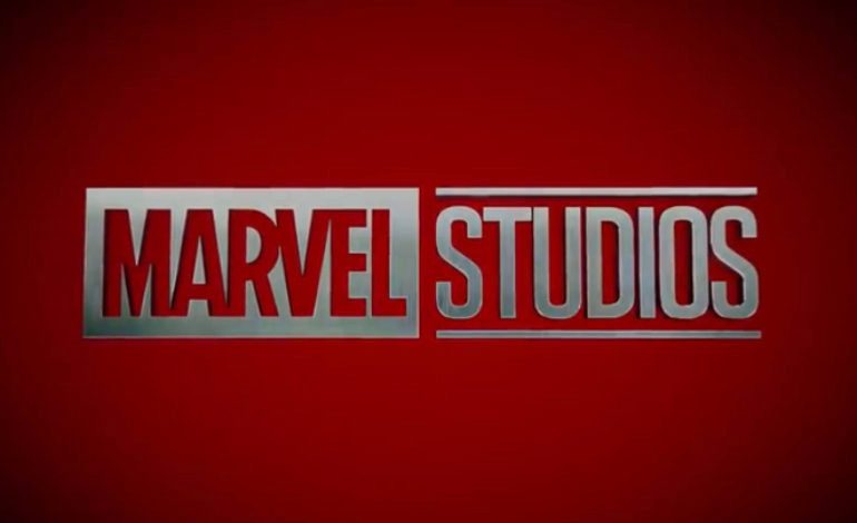New ABC Marvel Show Put On Hold Until Disney+ Series