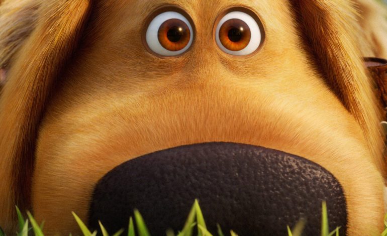 Disney+ Announces New Series ‘Dug Days’ To Honor International Dog Day