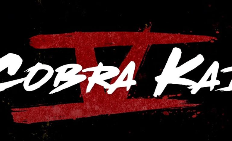 ‘Cobra Kai’ Season Six Kicks Off Production