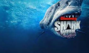 Shark Week Producer Howard Swartz Leaves Warner Brothers