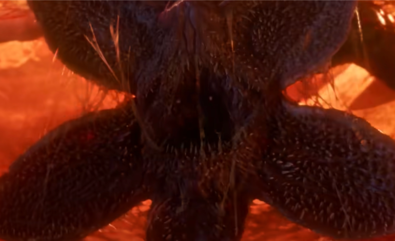 A Fateful Goodbye: Explosive Trailer For ‘Stranger Things’ Final Season Reveals Hawkins’ Last Supernatural War