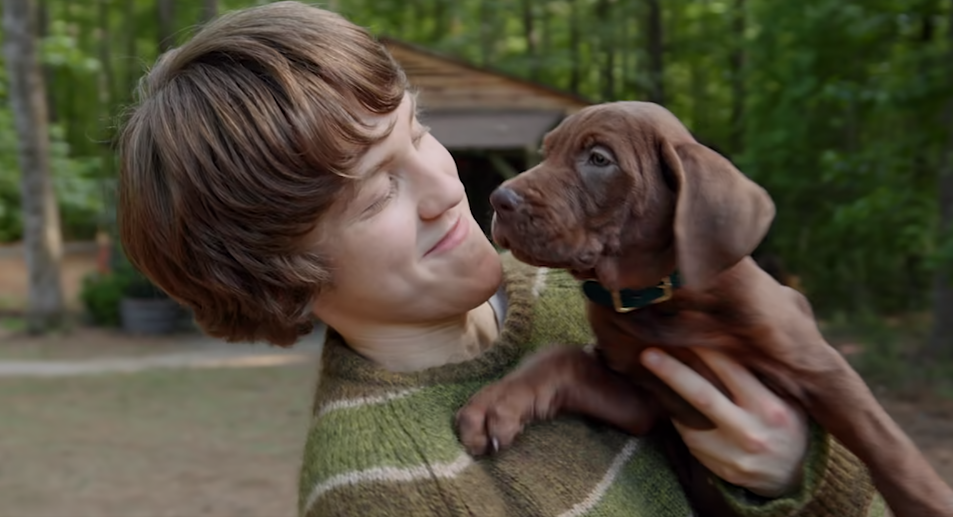The Mystery Begins: Netflix Reveals First Teaser For 'Scooby-Doo: Origins'